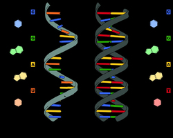 Cancer : premier essai clinique d’un traitement à base d’ARN ... Image 1